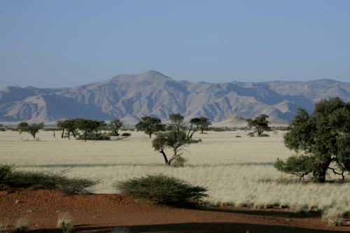 Weltevrede GF (3)